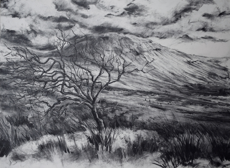 Resilience • Ai Connolly Charcoal